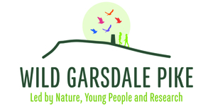 Wild Garsdale Pike