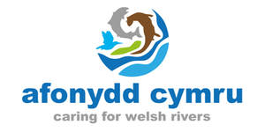 Afonydd Cymru