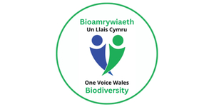 One Voice Wales