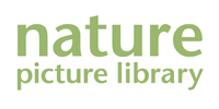 Nature Picture Library Ltd.
