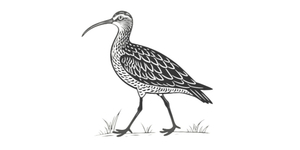 Clapham Sustainability Group