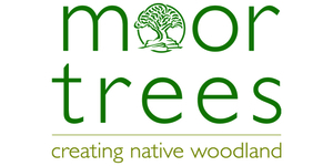 Moor Trees