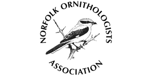 Norfolk Ornithologists' Association (NOA)