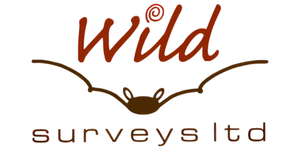 Wild Surveys Ltd